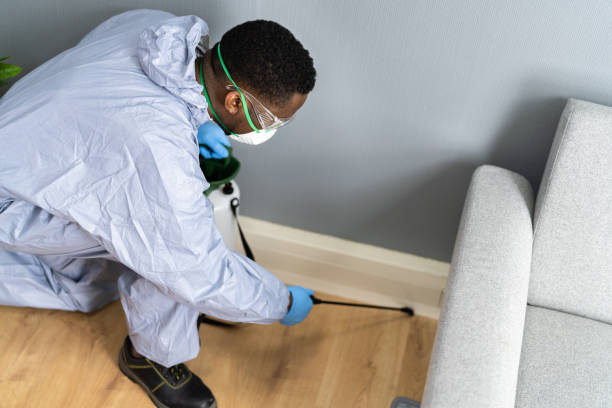 Best Pest Prevention Services  in Westmere, NY